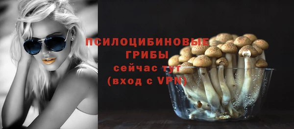 мескалин Горнозаводск