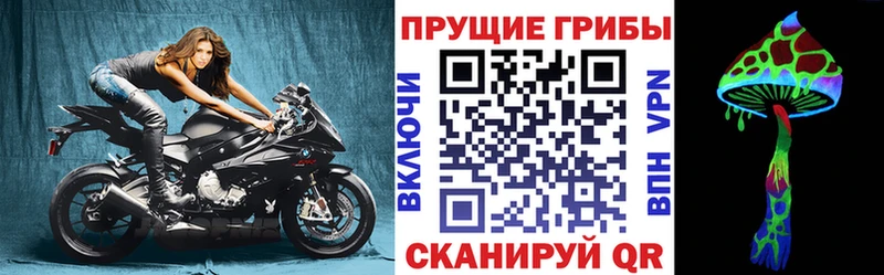 Псилоцибиновые грибы GOLDEN TEACHER Благовещенск